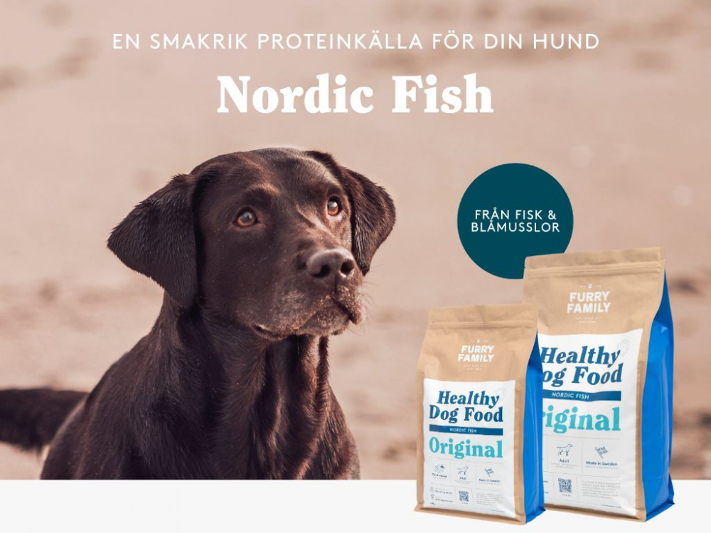 Fördelar med fisk & blåmusslor i din fyrbenta väns kost