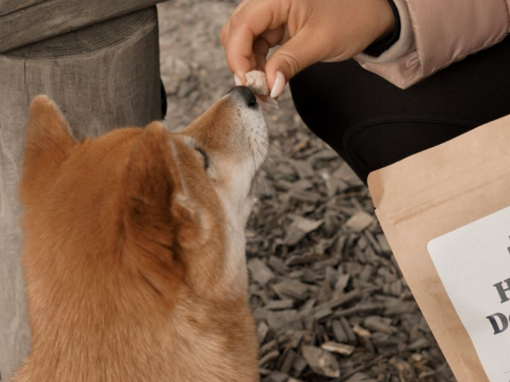 Vårt nya hundgodis är äntligen här!