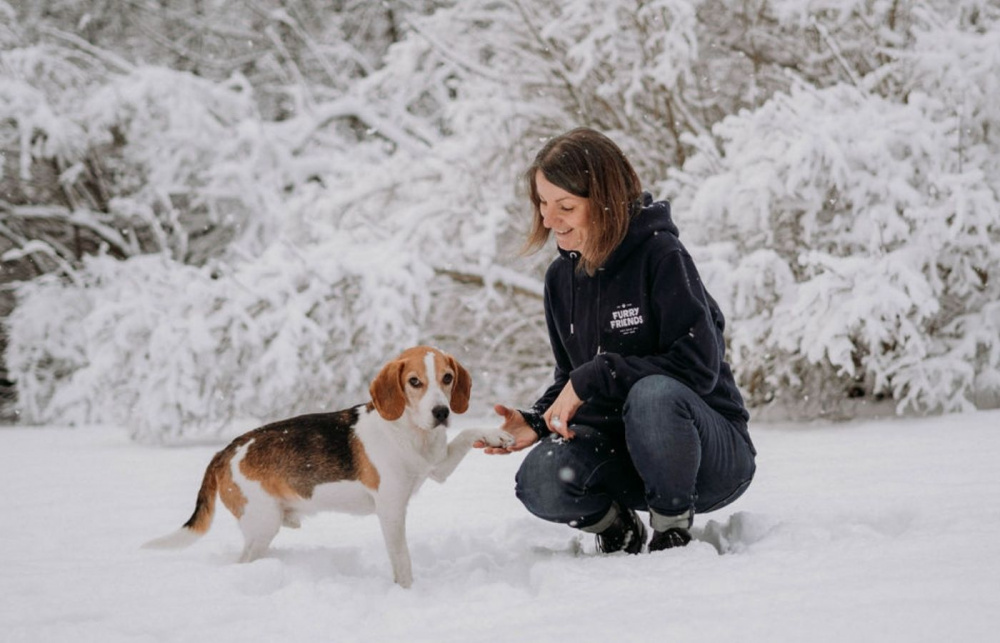 3 aktiviteter som sysselsätter hunden när du själv inte orkar