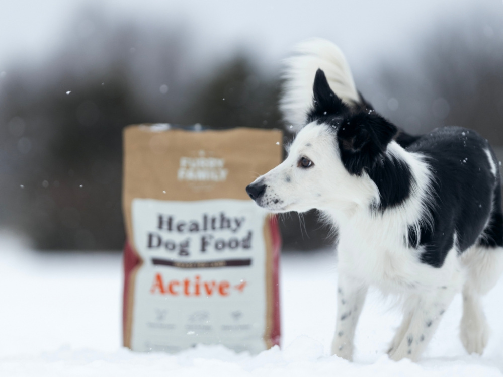 Hundens kost under vintern