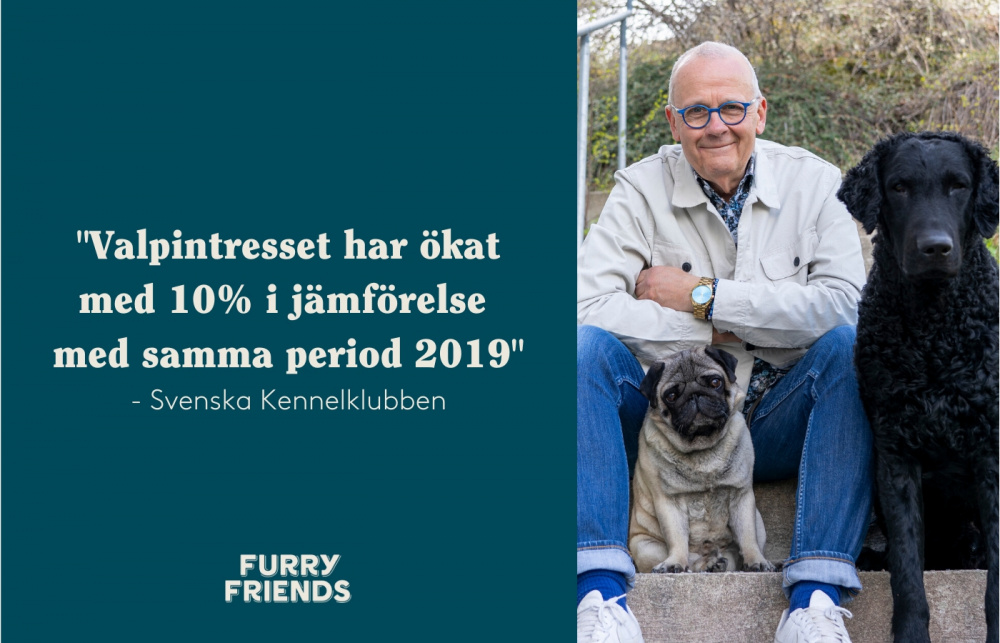 Vi har intervjuat Svenska Kennelklubben om det ökade valpintresset under våren