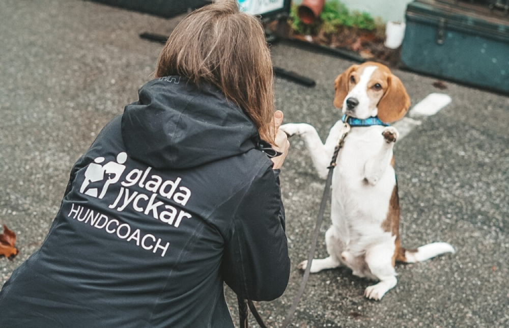 Beteendeproblematik - DEL 2