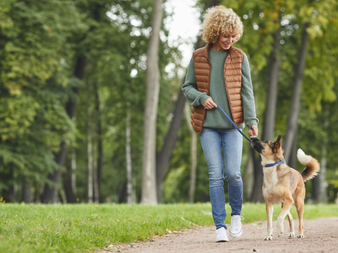 Bli grannskapets trevligaste hund och hundägare