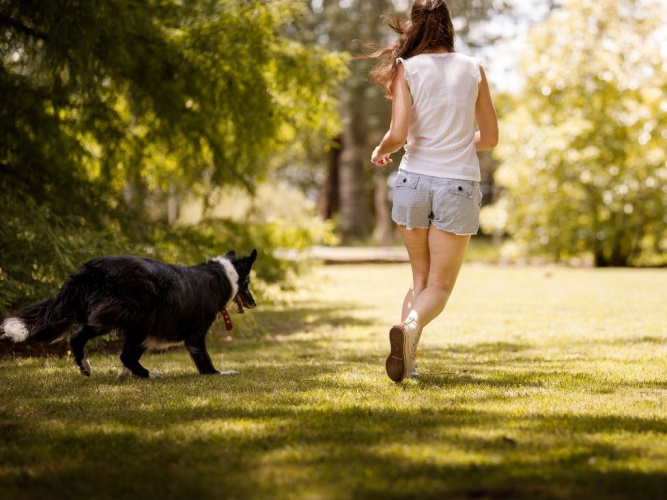 Hur mycket motion behöver våra fyrbenta vänner?