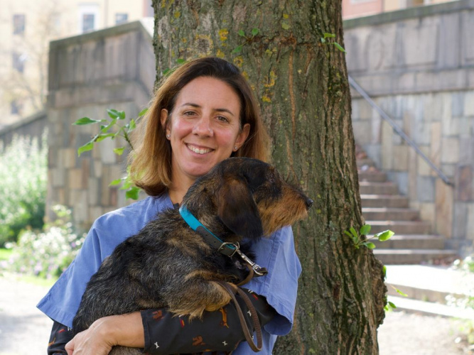 Veterinären berättar: Vanliga sjukdomar hos hund