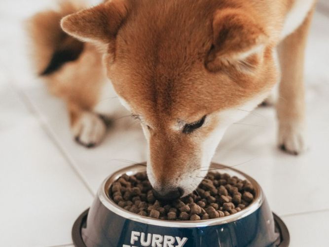 Hur ska man göra vid foderbyte?