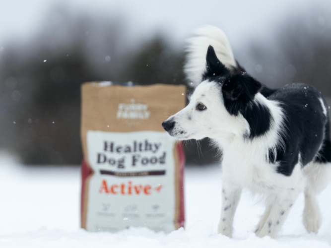 Hundens kost under vintern