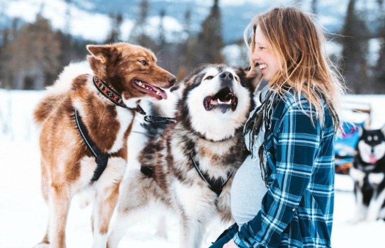 Sandra Tellström jobbar med hundspann i Åre