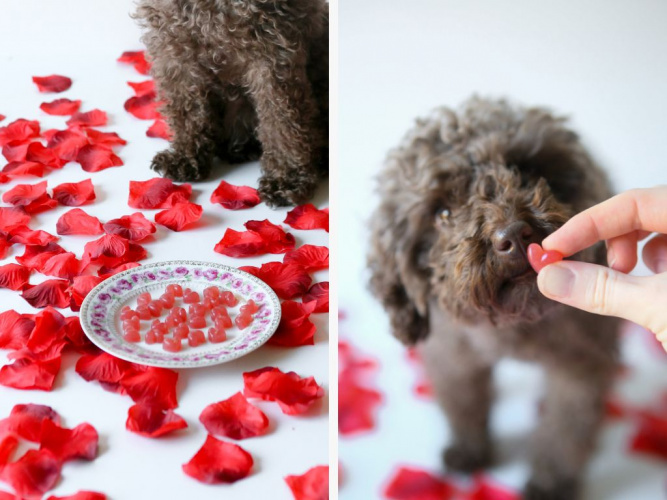 Geléhjärtan med hallon - Baka med matte