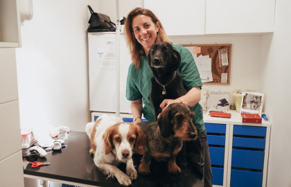 Veterinären Giulia Barontini om hur hundfoder påverkar din hunds hälsa och välmående