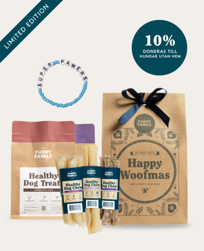 Christmas Gift, Large Pack