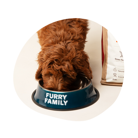Furry Friends kostcirkel för hälsosam hundmat 