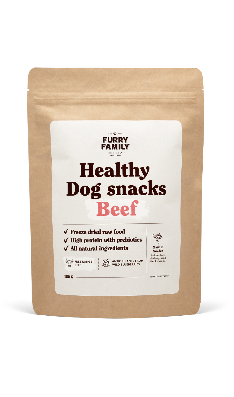 Healthy dog snacks beef