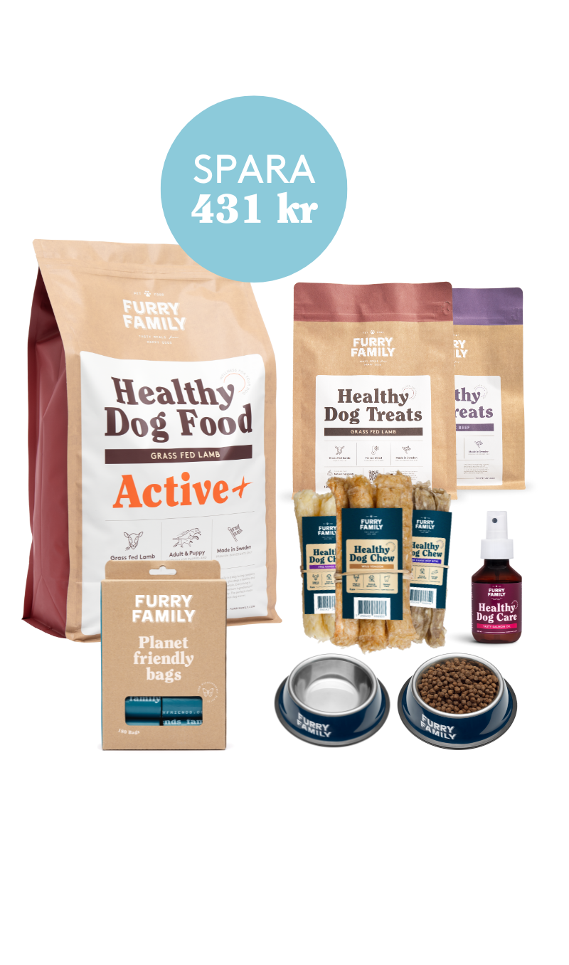 Healthy dog Food Bundle Active+