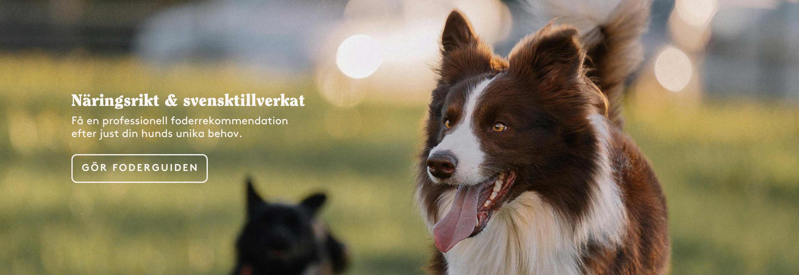 Furry Family