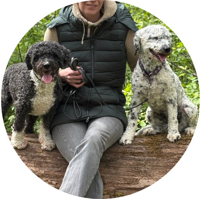 Perro de agua español