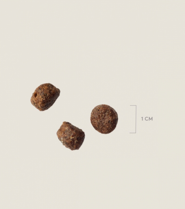 Sustainable Insect Original, 12 kg, bild 3