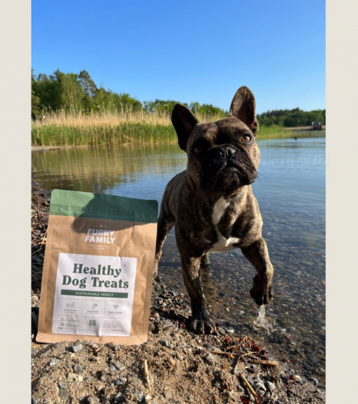 Sustainable Insect, Large pack, bild 6