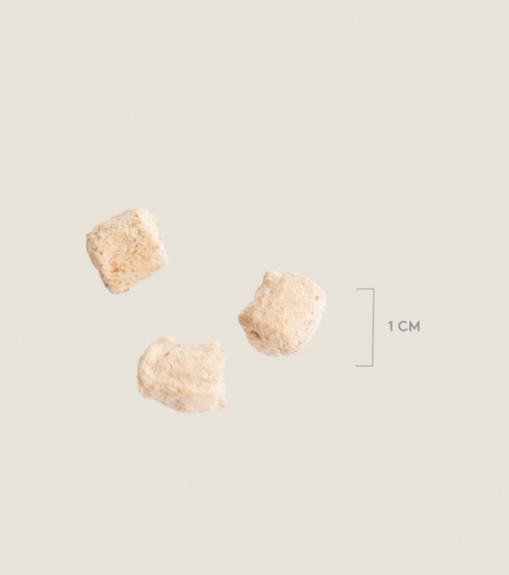 Sustainable Insect, Small pack, bild 3