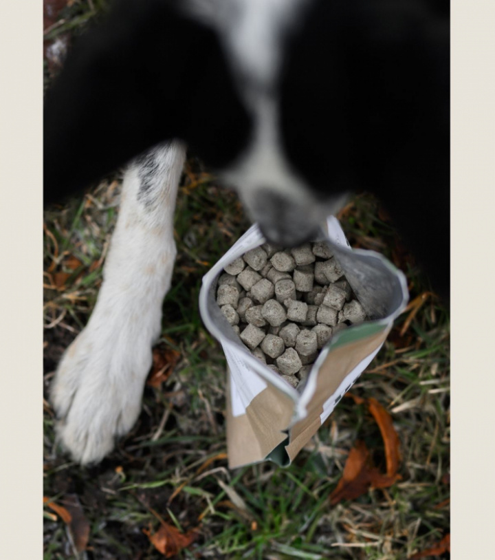 Sustainable Insect, Small pack, bild 4