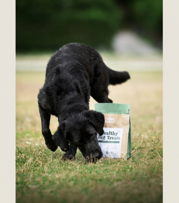 Sustainable Insect, Small pack, bild 5