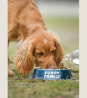 Food & Water Bowl