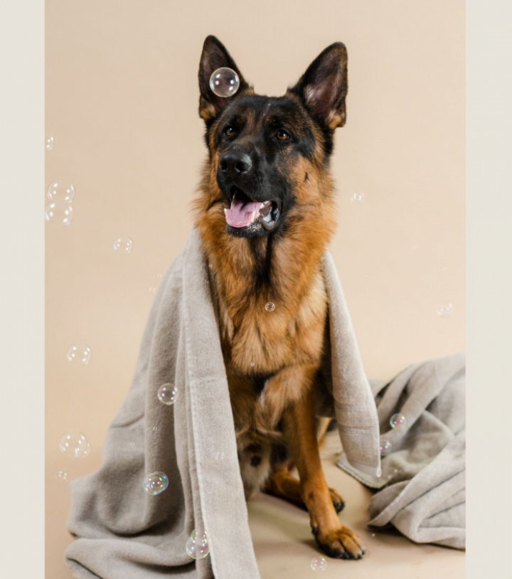 Spray Conditioner, bild 3