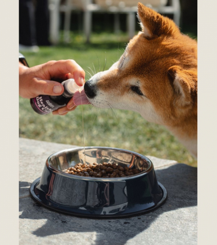 Tasty Salmon Oil, bild 2