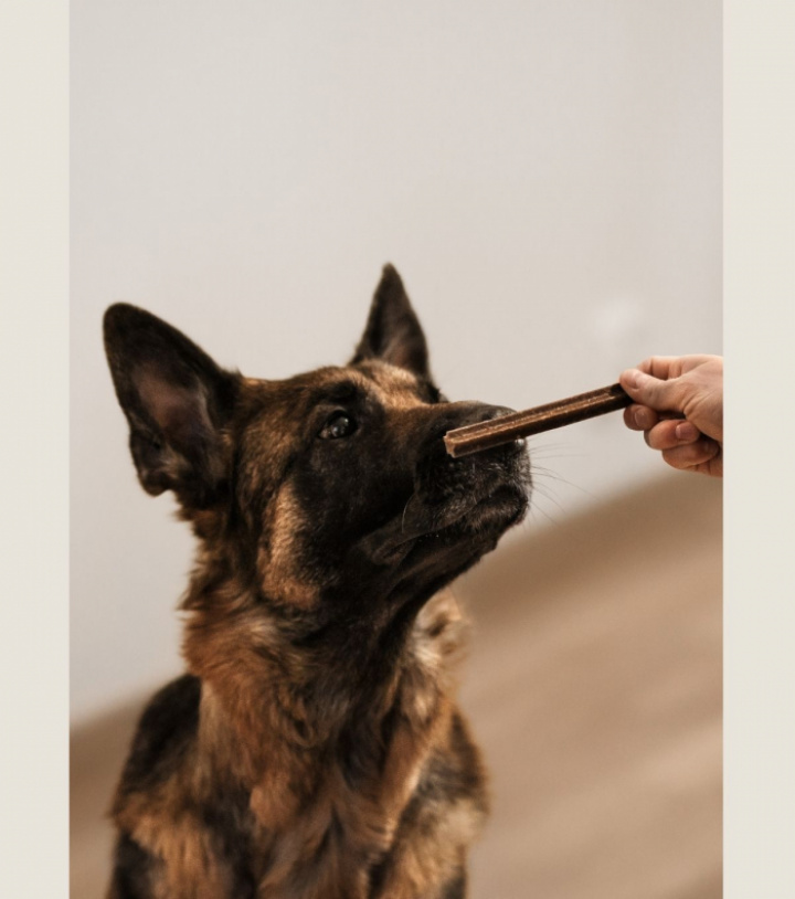 Dental Sticks, bild 3