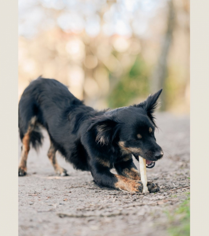 Free Range Beef, 4 pkt, bild 4