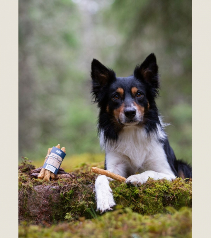 Wild Venison, 3 pkt, bild 4