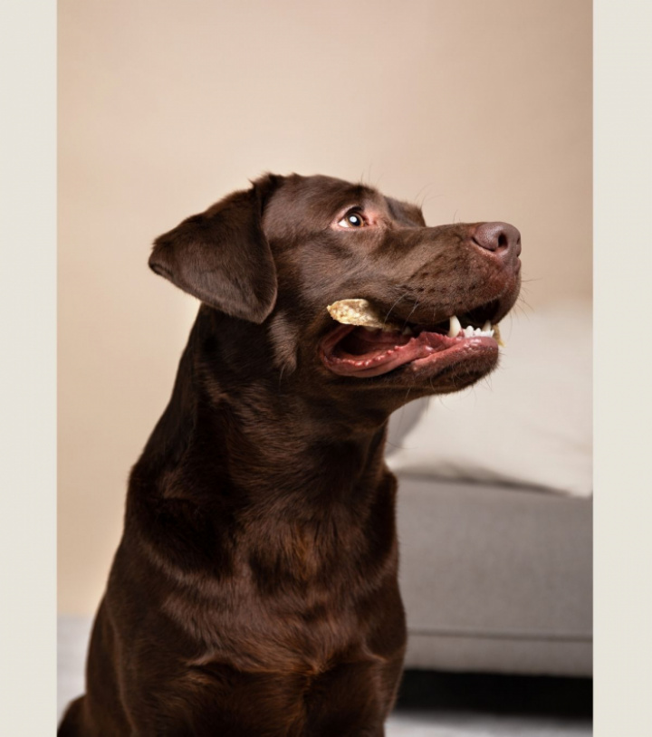 Beef Bites, 4 pkt, bild 3