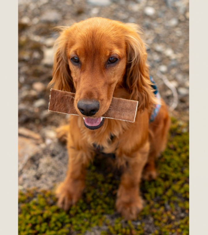 Beef Strips Medium, 4st, bild 4