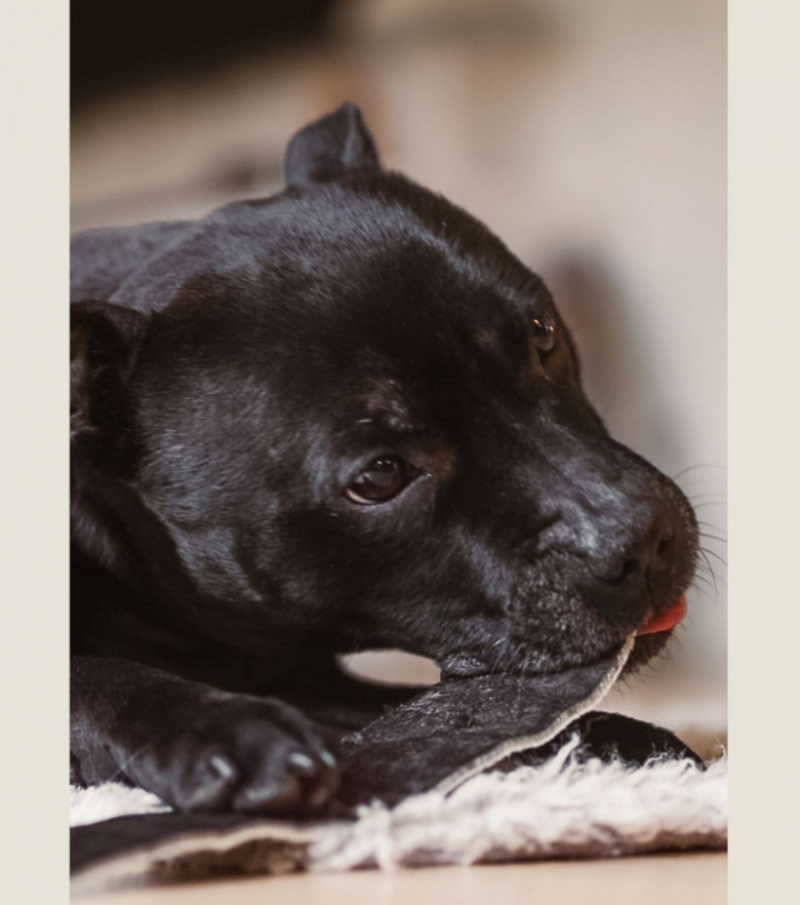 Beef Strips Extra Large, 2st, bild 4