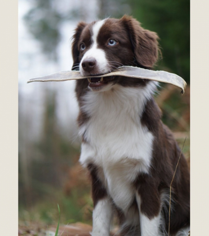 Beef Strips Extra Large, 2st, bild 5