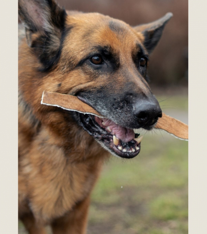 Beef Strips Extra Large, 4st, bild 6