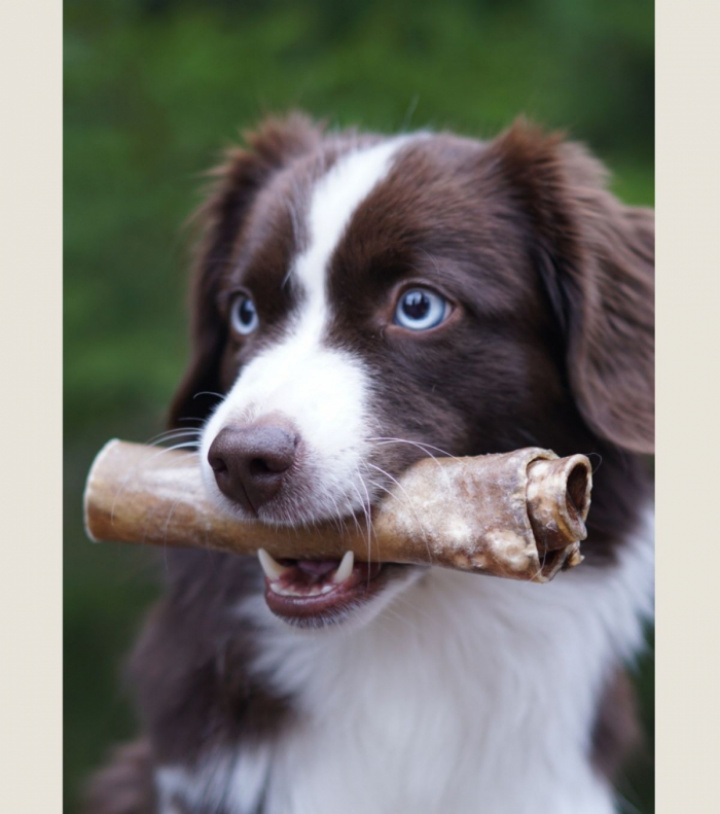 Beef Roll Medium, bild 3