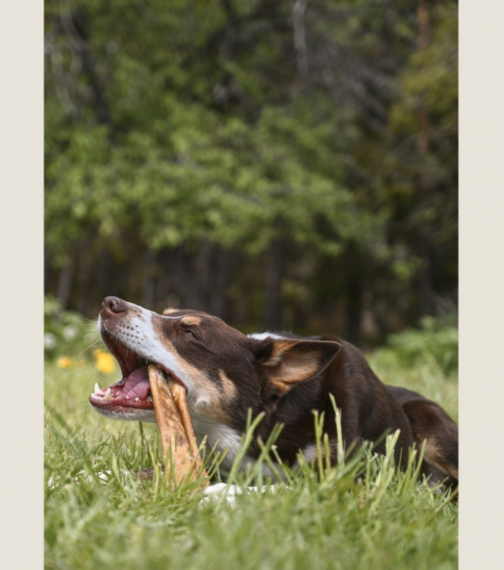 Beef Roll Extra Large, 5st, bild 3