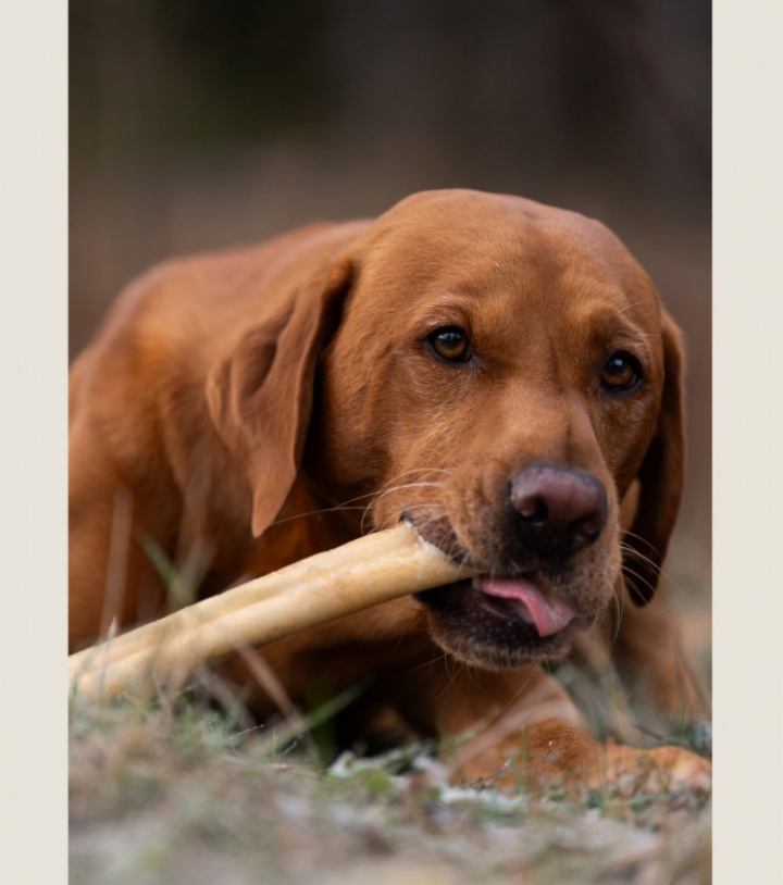 Beef Roll Extra Large, 1st, bild 4